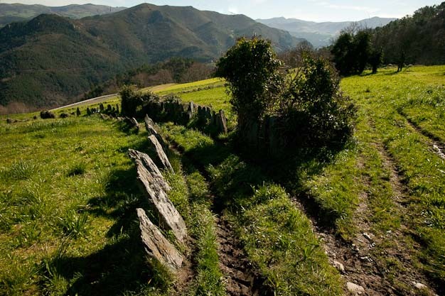 Foto terreno - Se abre en una nueva ventana